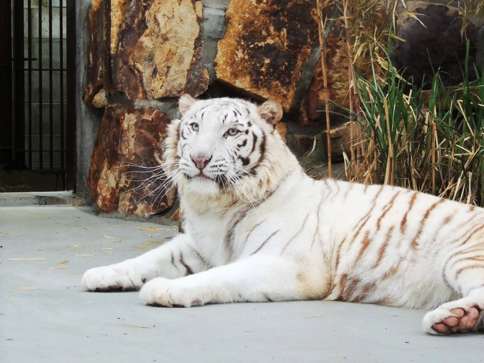 🦁 이케다 동물원 이미지 3